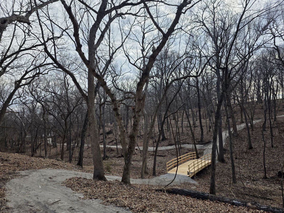 Dancefestopia tweet media