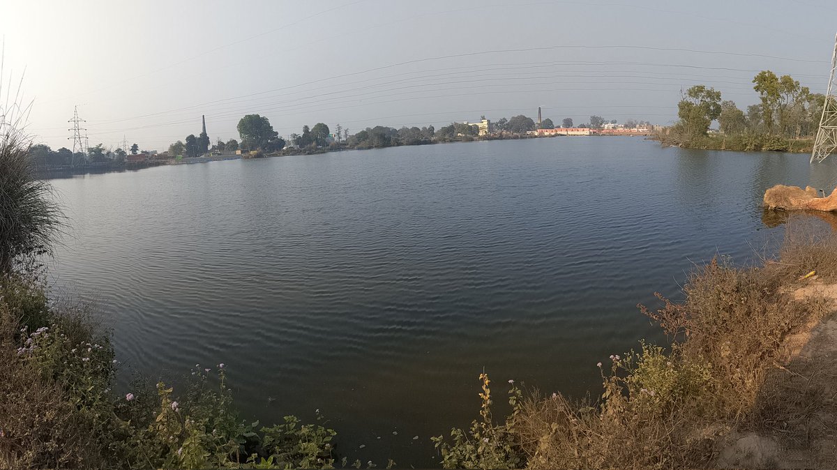 🌊 Still water. Winter light. Trees standing guard.

🦆 This lake-sized pond between Misrikh &amp; Sidhauli at Kalibadi (Sitapur) isn’t just water — it’s a village lifeline.

💧 Recharges groundwater
🌾 Supports farmers &amp; fishers
🌦 Cools the local climate
🐸 Protects biodiversity
🧑‍🤝‍🧑