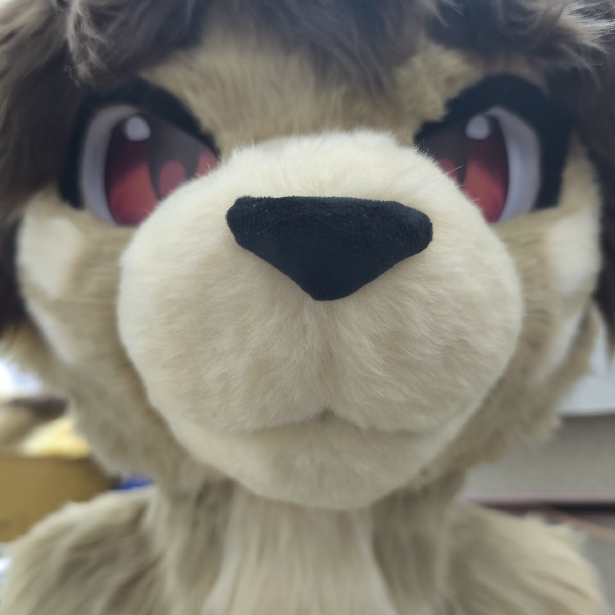 Luonade罗纳德🦁 tweet media