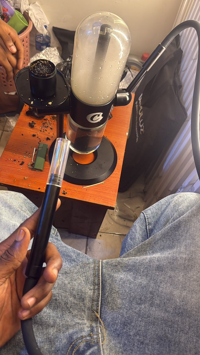 HARD BRAIN 🧠 STRAIN 🌳 tweet media