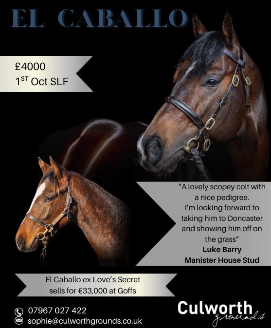 Culworth Grounds tweet media