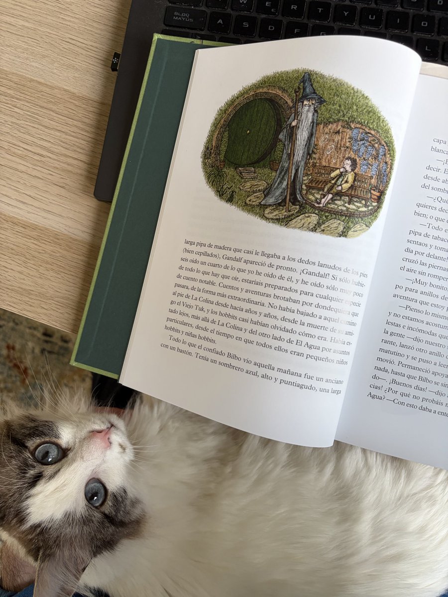 Algo tan simple como esto puede solucionar cualquier problema✨🤎