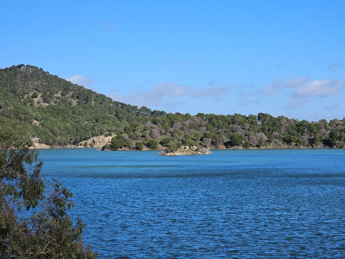 Embalse del Guadalhorce febrero 2026. <a href="/101tvMalaga/">101TV Málaga</a> <a href="/DiarioSUR/">SUR. El periódico de Málaga</a> <a href="/PTV_Malaga/">PTV Málaga</a> <a href="/meteo_marbella/">MeteoMarbella</a> <a href="/AEMET_Andalucia/">AEMET_Andalucía</a> <a href="/AEMET_Esp/">AEMET</a> <a href="/ElTiempoA3/">El Tiempo de Antena 3</a> <a href="/tiempobrasero/">Tutiempo</a> <a href="/7TVMalaga/">7 TV Málaga</a> <a href="/lasextameteo/">La Sexta Meteo</a> <a href="/BelenSamper_/">Belén Samper</a> <a href="/MeteoredES/">Meteored España</a> <a href="/Eltiempoalsur/">𝔼𝕝 𝕥𝕚𝕖𝕞𝕡𝕠 𝕒𝕝 𝕤𝕦𝕣</a> <a href="/ElTiempoes/">Eltiempo.es</a> <a href="/ecazatormentas/">Cazatormentas</a> <a href="/canalsur/">CanalSur</a> <a href="/jacobpetrus_tve/">Jacob Petrus</a> <a href="/viva_malaga/">Viva Málaga</a>