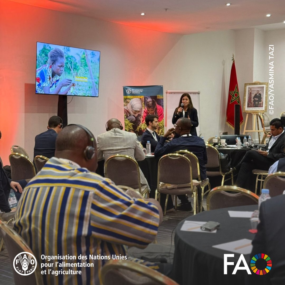 FAOMaroc's tweet photo. Session interactive @FAO et @WorldBank sur #DigiChild : solutions concrètes pour éliminer le travail des enfants dans l’agriculture.
Études de cas, outils pratiques, expériences de terrain.
Les solutions existent, il faut maintenant les déployer à grande échelle.
#EndChildLabour https://t.co/WOc0GPTgDv
