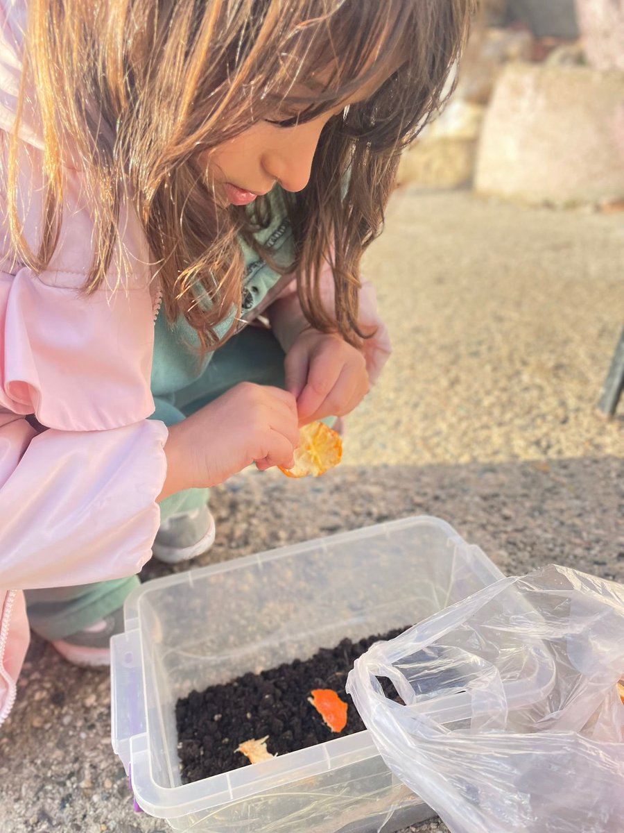 Okulumuz okul öncesi B şubesi öğrencileri “Yeşil Vatan-Benim Okulum Geleceğe Çare” Şubat Ayı Sürdürülebilirlik Etkinlikleri kapsamında “Kompost”hazırladılar.
<a href="/Yusuf__Tekin/">Yusuf Tekin</a> <a href="/tuncay_akkoyun/">Tuncay Akkoyun</a> <a href="/OmerliMem/">Ömerli İlçe Milli Eğitim Müdürlüğü</a> <a href="/umitcetin47100/">Ümit ÇETİN</a> <a href="/makdag47/">Makdag</a> <a href="/SuleymnAKIN/">Süleyman AKIN🇹🇷</a> <a href="/hmete_47/">Hüseyin METE</a>