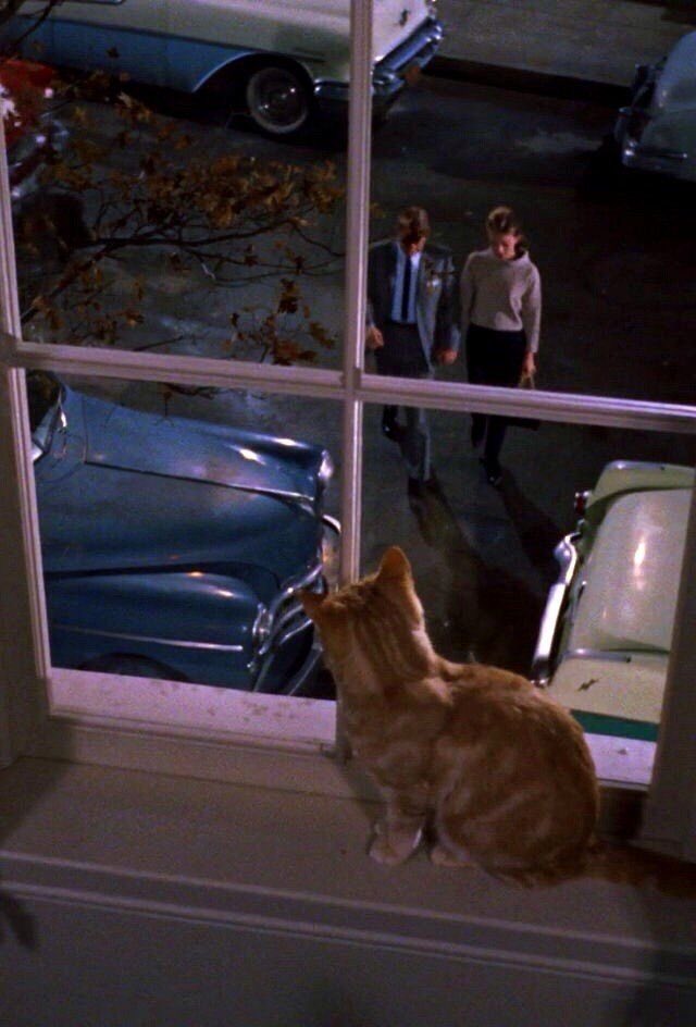 Laura (@laura_rf) on Twitter photo 