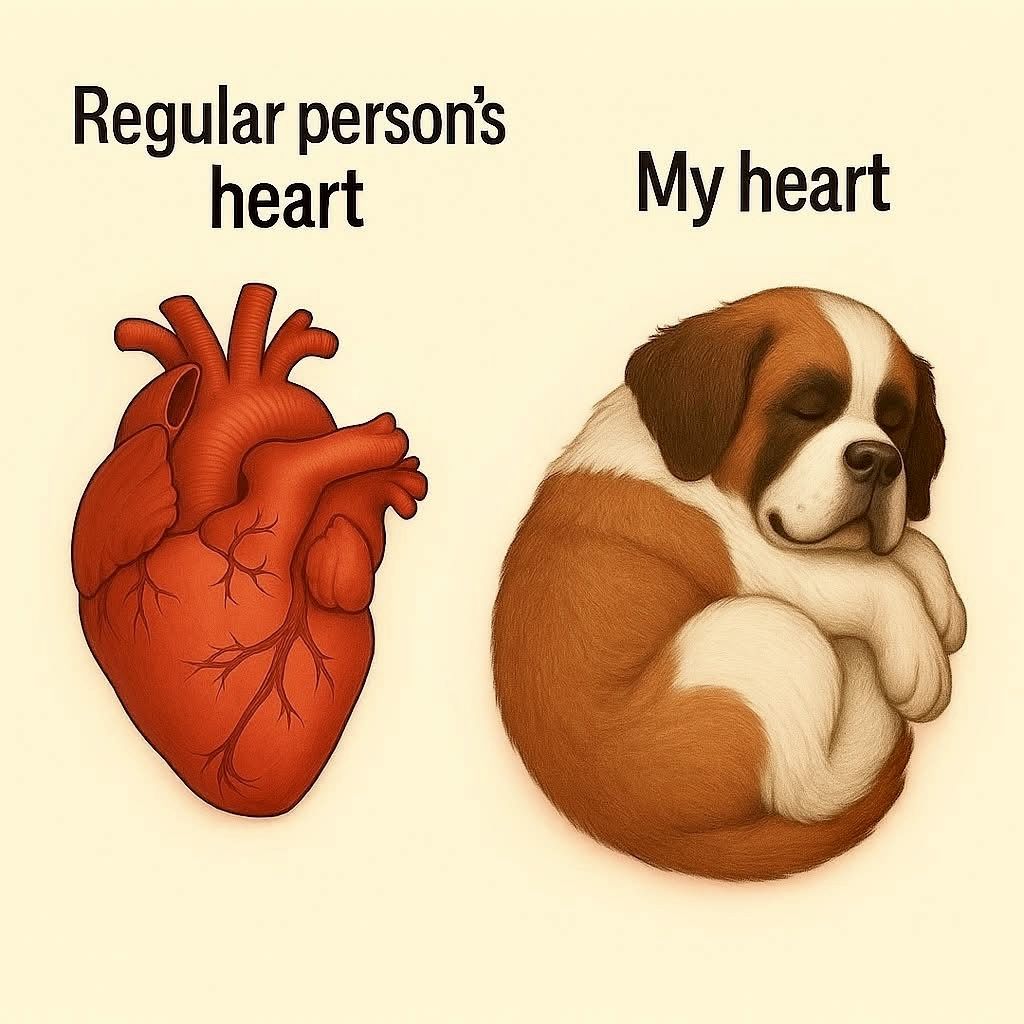 DogLovers03's tweet image. 