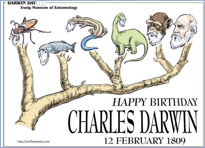 Zsófia Clemens, PhD tweet media