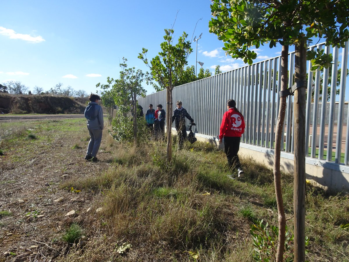 iesocastejon's tweet image. ¡Nuestro alumnado también lo ha hecho este año! 💪 El @iesocastejon se suma al movimiento Plogging: ejercicio físico 🏃‍♂️ y cuidado del medio ambiente 🌳 recogiendo basura en nuestro entorno. ¡Enhorabuena por trabajar estos valores! 🙌🤩 #juntxs  #EducaciónAmbiental #Castejón