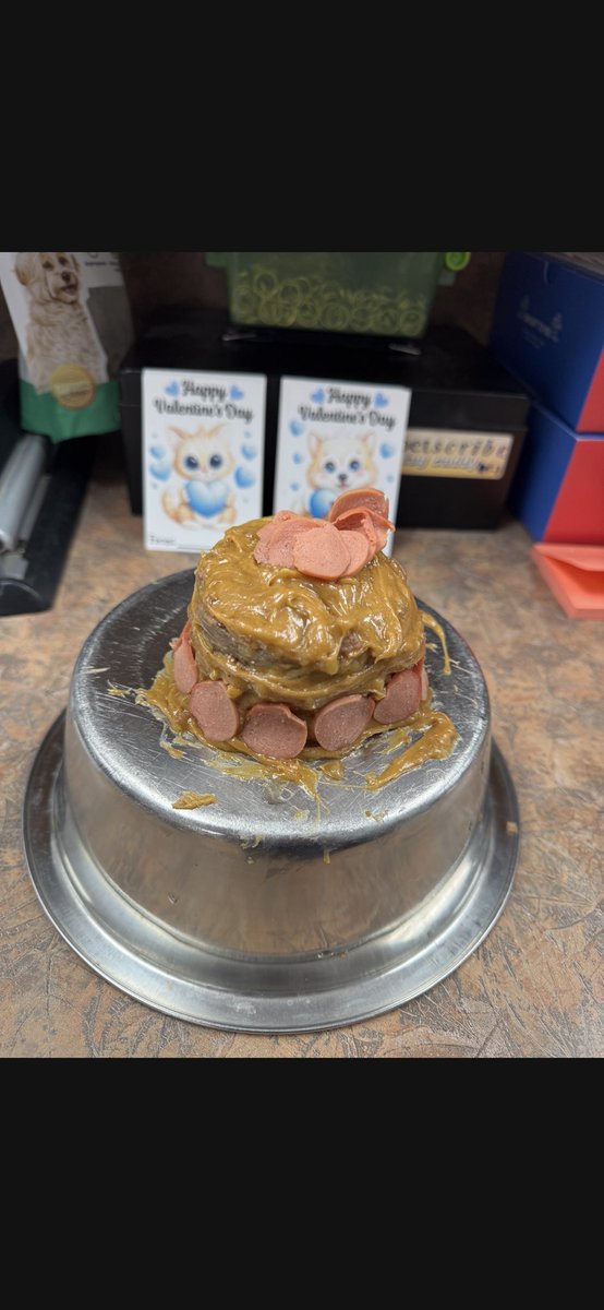 dsrae's tweet photo. When a shelter dog isn’t keen on taking his meds, it’s time for my team to think outside the box! https://t.co/nulsAo5N4x
