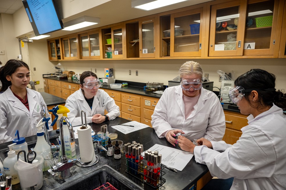 CalCommColleges's tweet image. 💡 Happy #NationalInventorsDay! 
 
Innovation starts with ideas &amp;amp; #CaliforniaCommunityColleges are home to cutting‑edge programs that help students turn those ideas into reality. 
  
Ready to explore what’s possible? Learn more at ICanGoToCollege.com. 
 
@icangotocollege