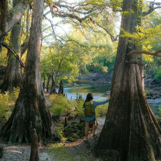 FL State Parks Foundation tweet media