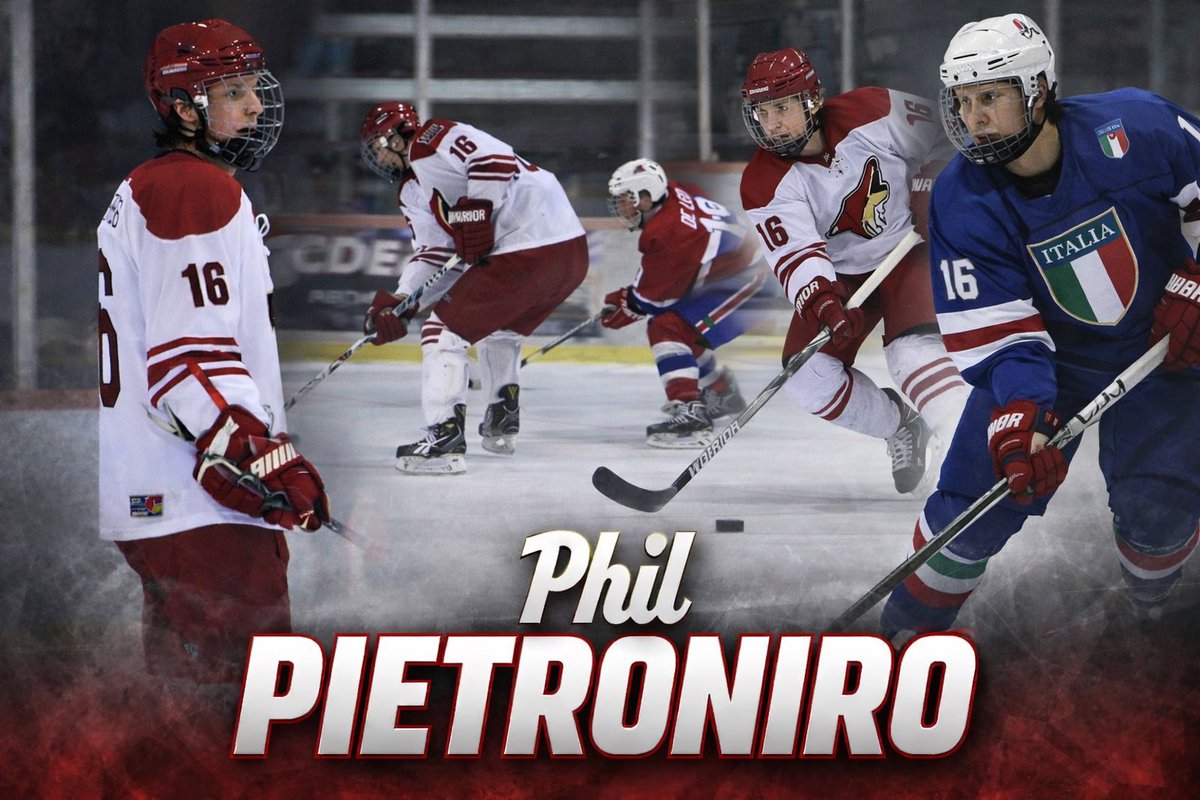 Jr. Coyotes tweet media