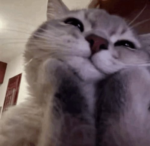 KeyToMarz's tweet image. It’s quite honestly the greatest feeling in the world