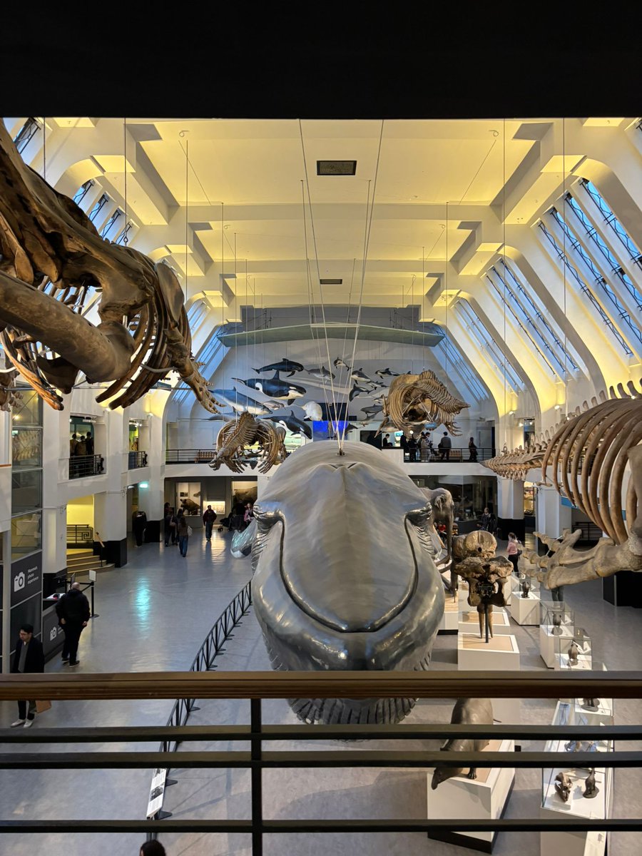 Pearson Primary School tweet media