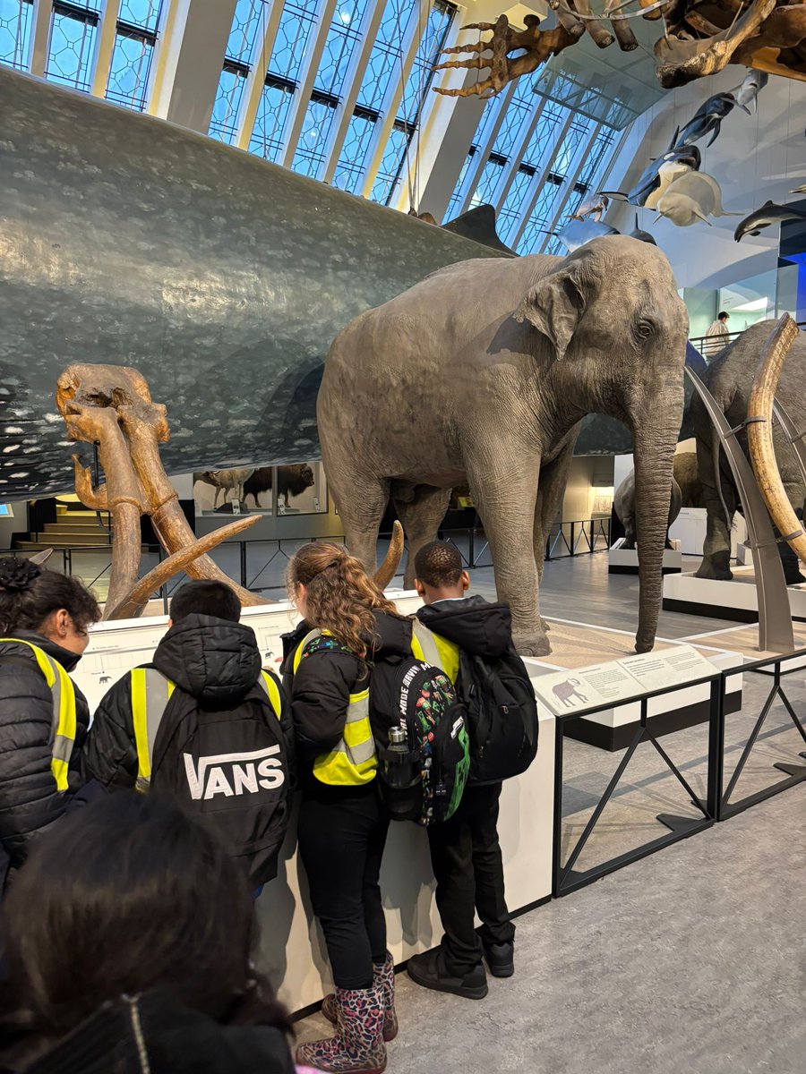 Pearson Primary School tweet media