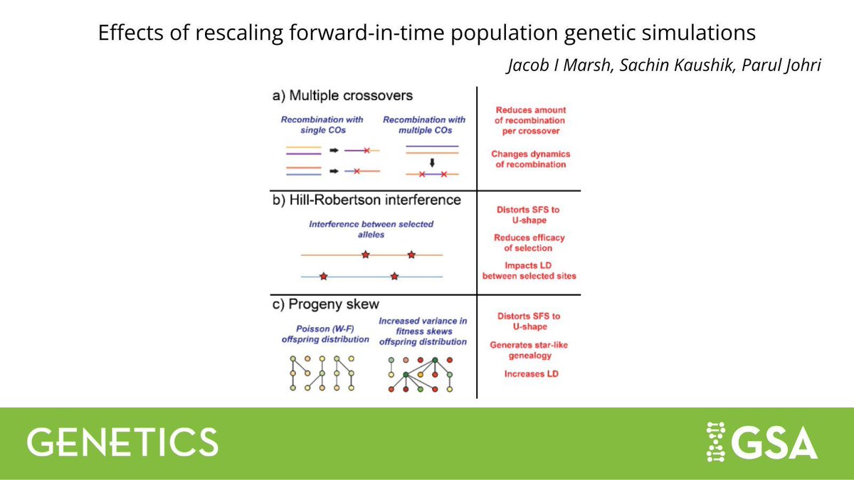 Genetics Society of America tweet media