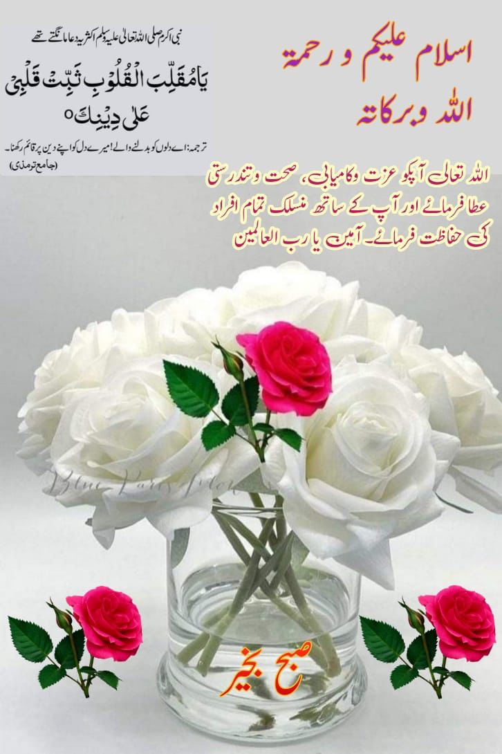 اسلام علیکم و رحمتہ اللہ وبرکاتہ صبح بخیر