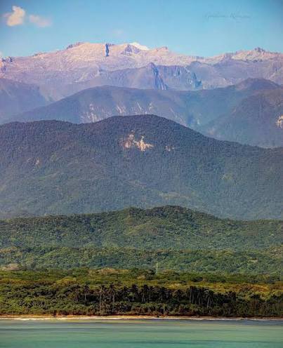 Caritto 🇨🇴🖤 tweet media