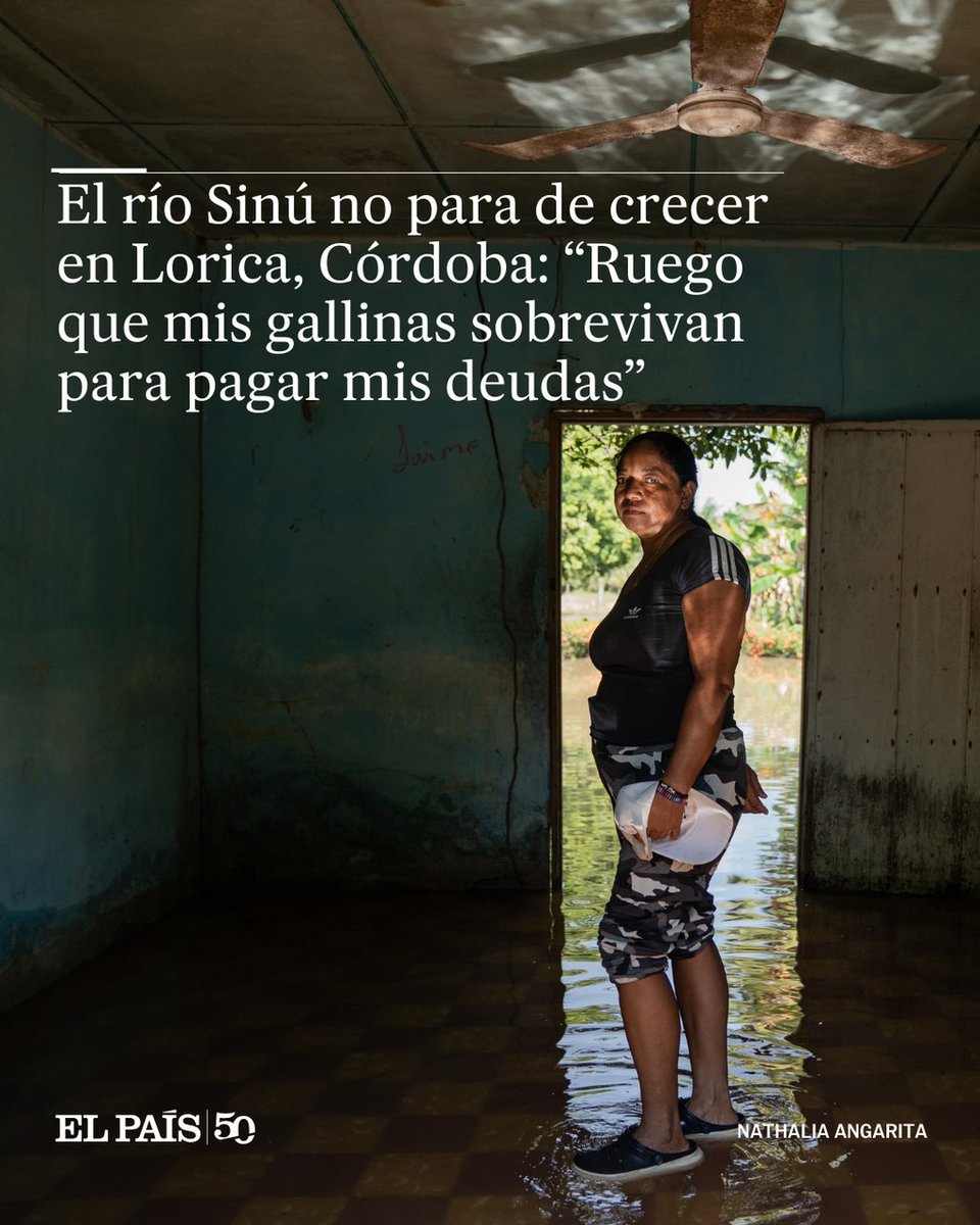 EL PAÍS América Colombia tweet media