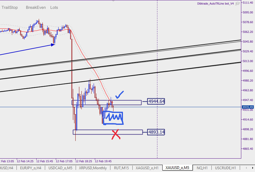 DIBTRADE tweet media