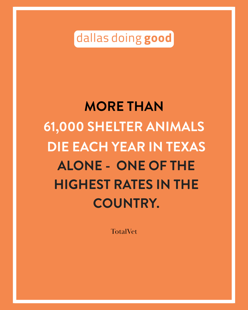 Dallas Doing Good tweet media