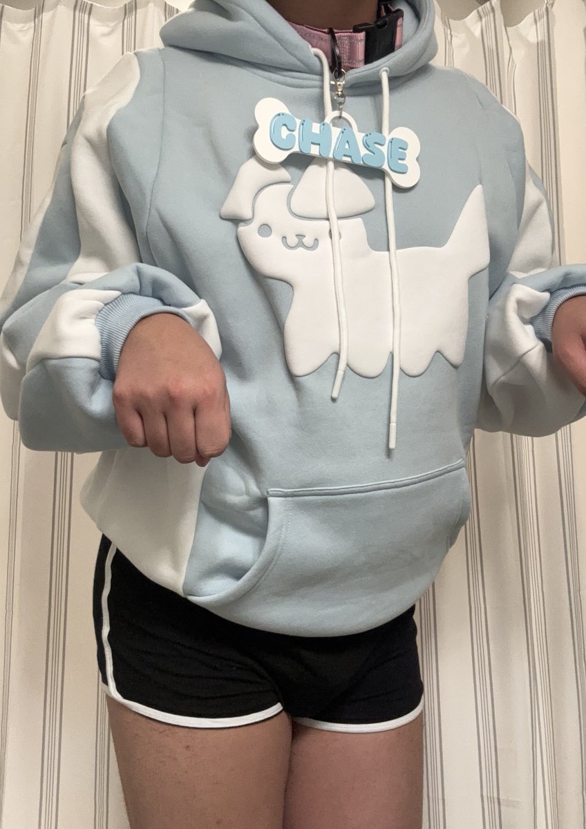 Chase Goes Bark! tweet media