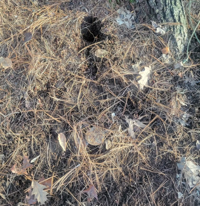 NH Citizens Against Recreational Trapping tweet media