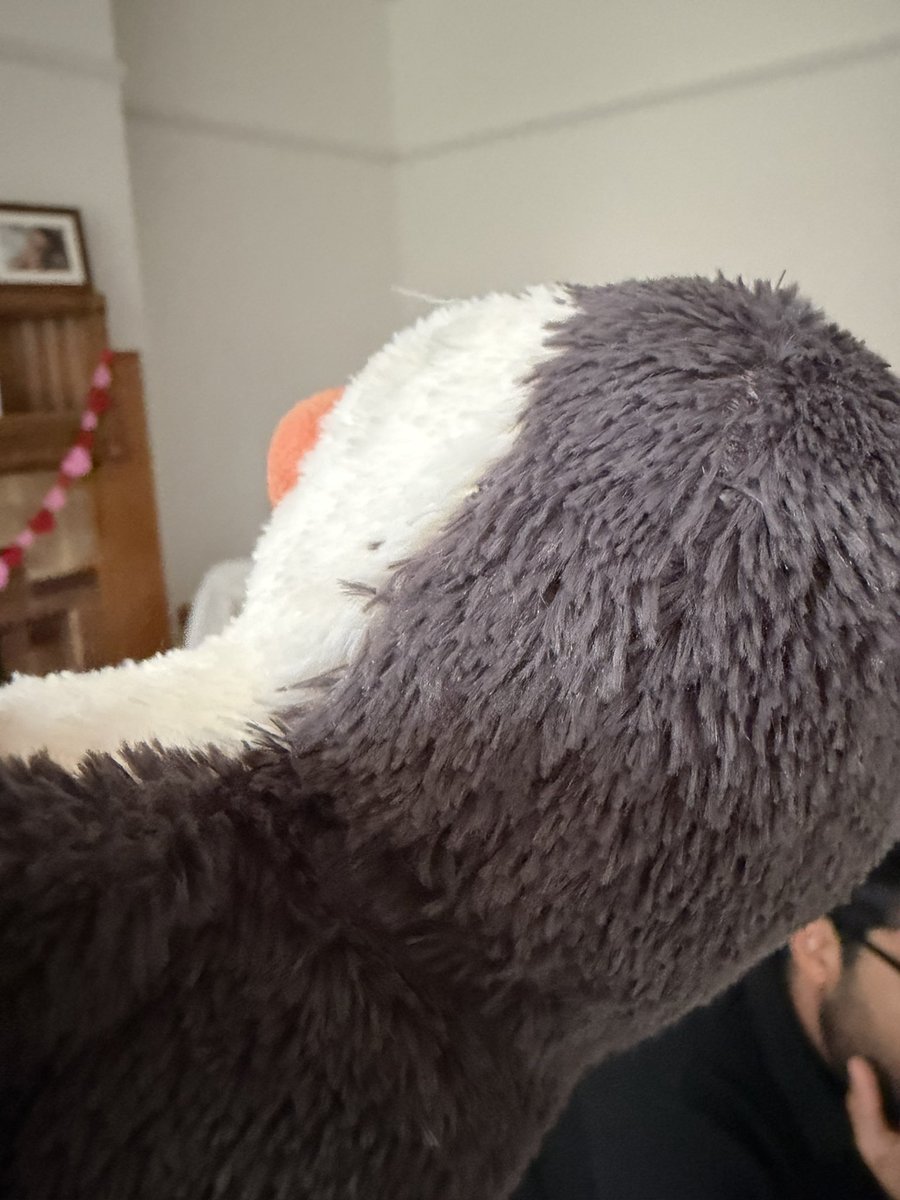 papermachecat tweet media