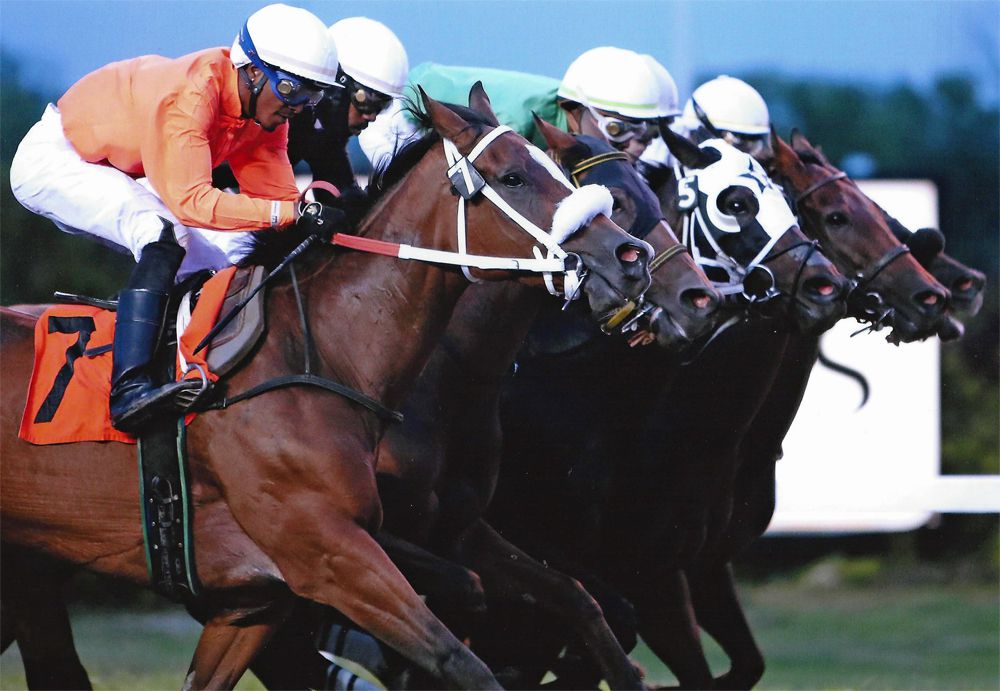 Racebook tweet media