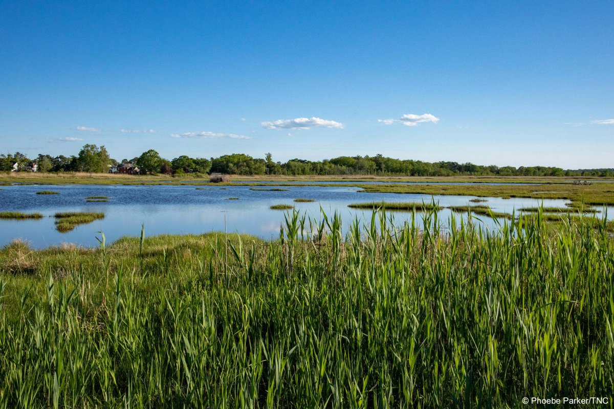 The Nature Conservancy tweet media