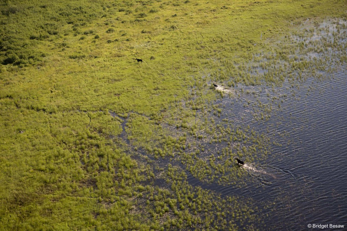 The Nature Conservancy tweet media