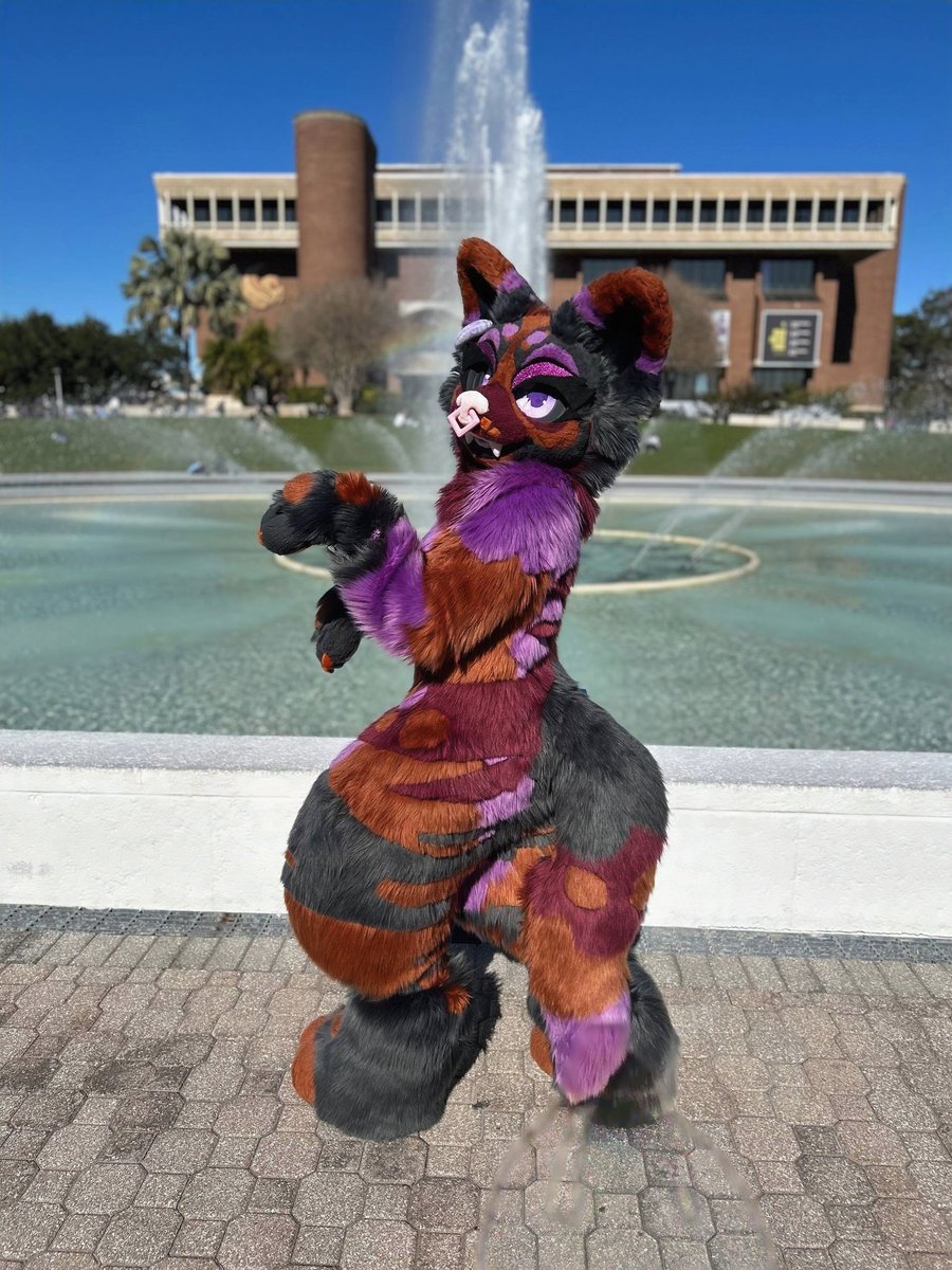 THE diva ever!
#FursuitEverday