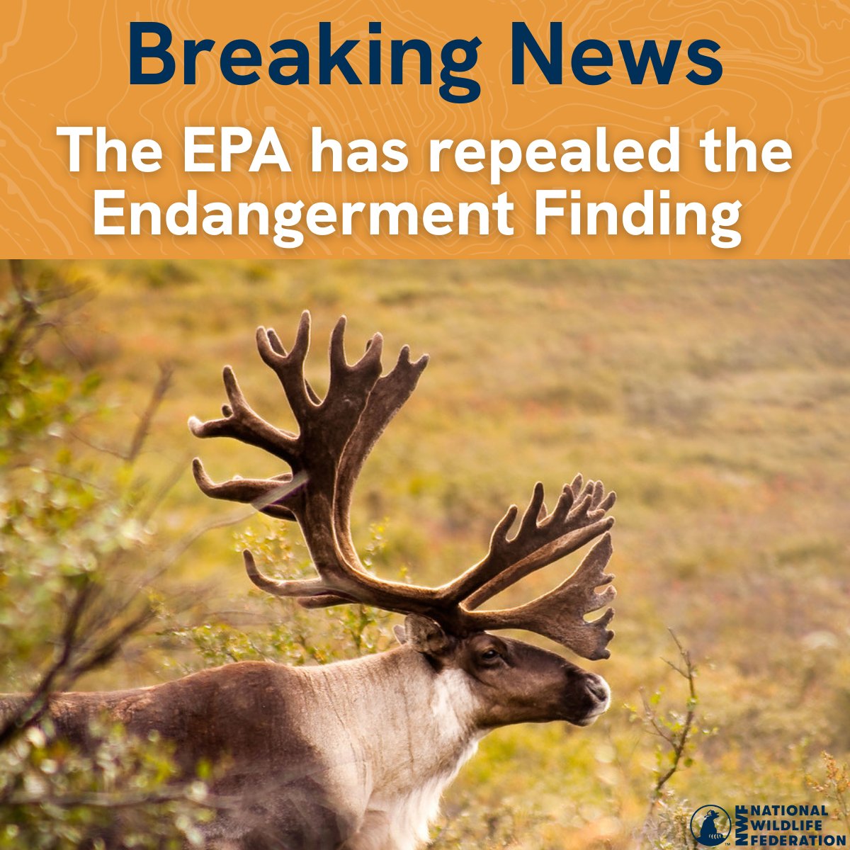 NWF's tweet photo. 🚨The @EPA has repealed the #EndangermentFinding, the 2009 determination that greenhouse gas pollution is a danger to public health &amp; contributes to climate change. This decision undermines our ability to protect the health of people &amp; wildlife. More: https://t.co/tub8Y0xO9K https://t.co/m5Vo605ee8