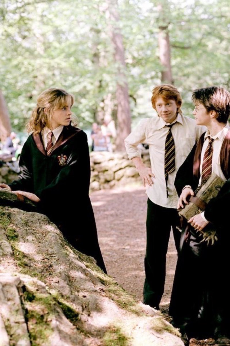 Daily Harry Potter tweet media