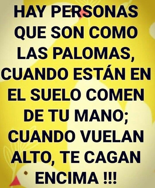 Imperio Estoico. (@imperioestoico) on Twitter photo 