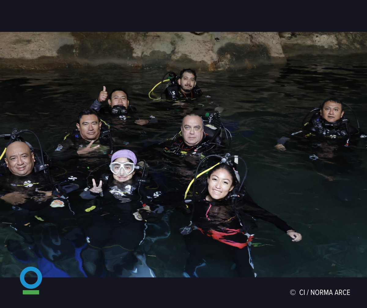 Conservación Internacional México tweet media