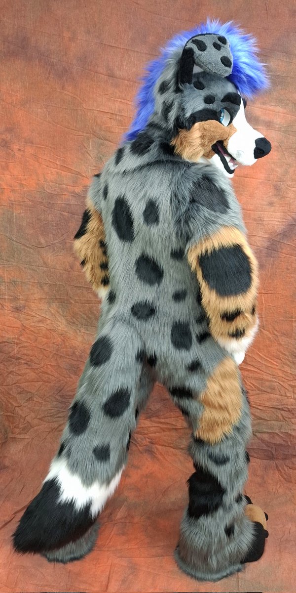 TheKareliaFursuits 🔜 EF tweet media