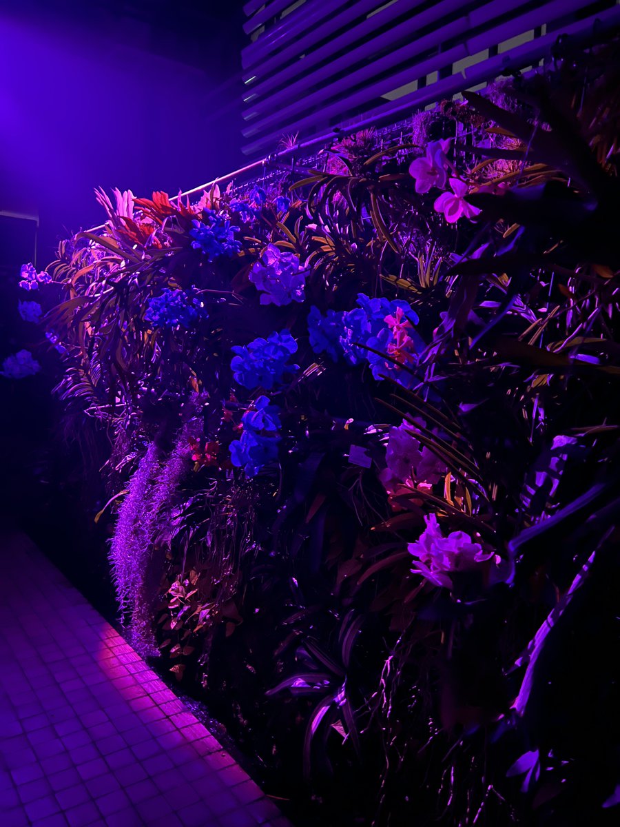 今日から15日まで県外行くので配信ないですごめんなさい🙏
また写真あげるのでよかったら見てね！！