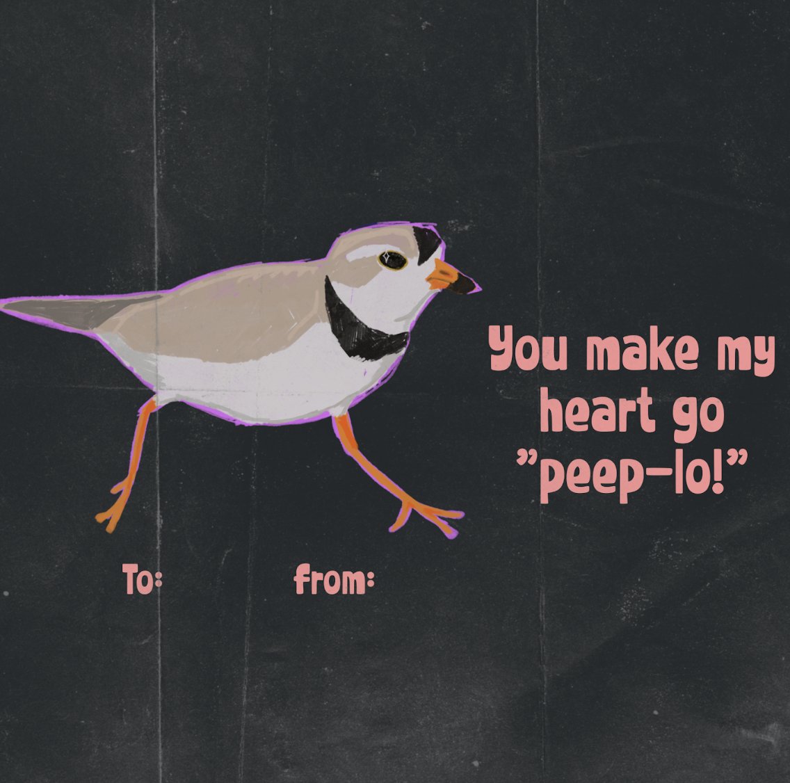 EnvironmentalDefence tweet media