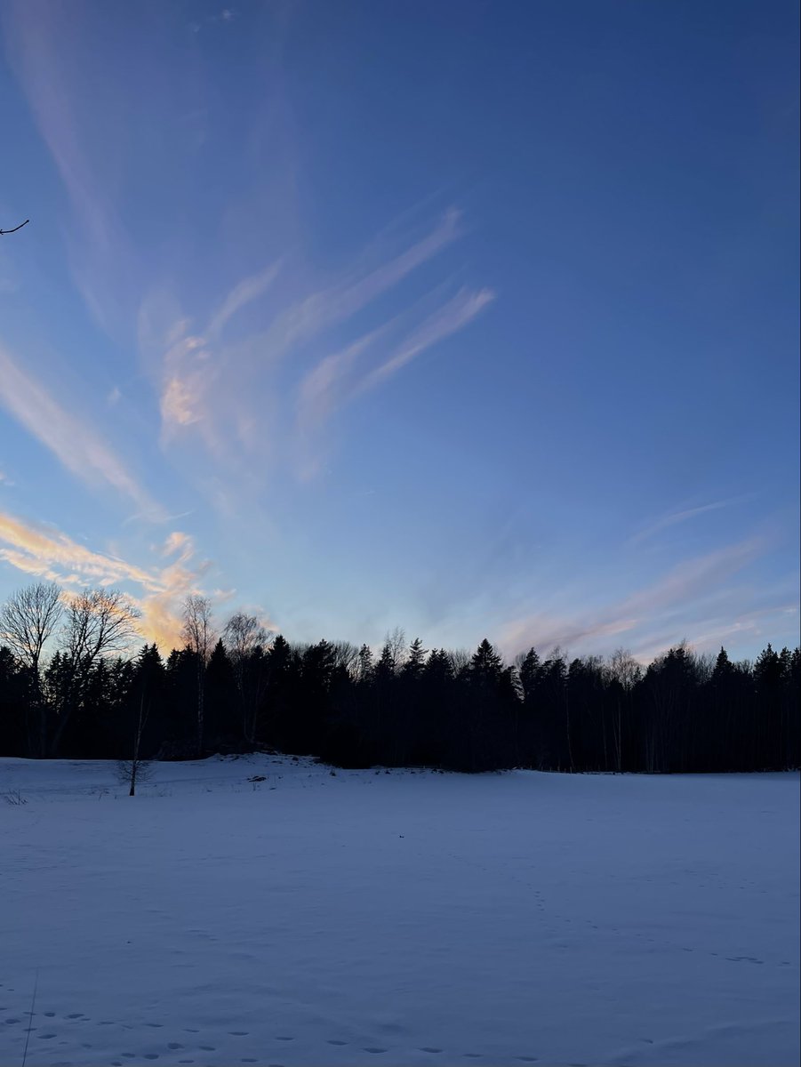 ˗ˋˏ effy ˎˊ˗ tweet media