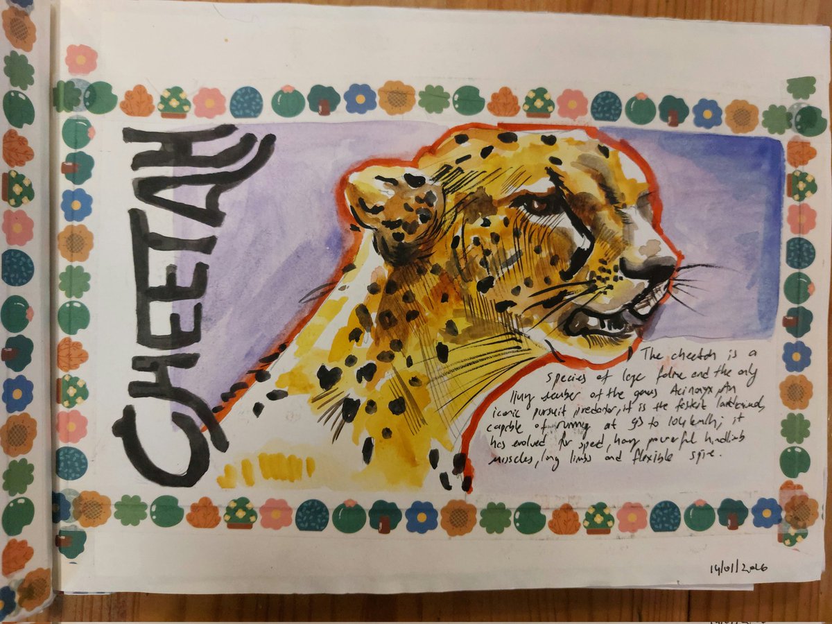 nb91d's tweet photo. #sketchbook Tour 2 
#cheetah #bear #portrait #watercolor https://t.co/zwmuUR8GGl
