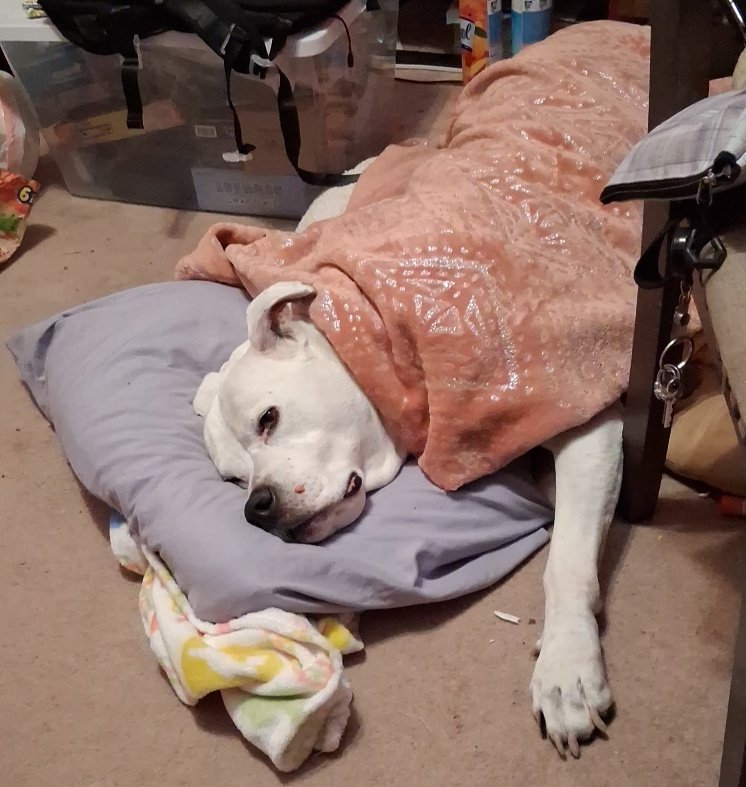 Enter Name Here tweet media