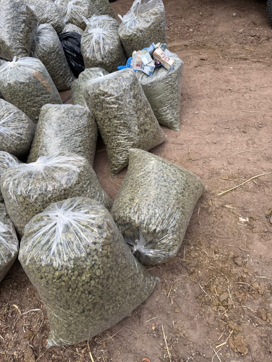 JONE KUSH 3 tweet media