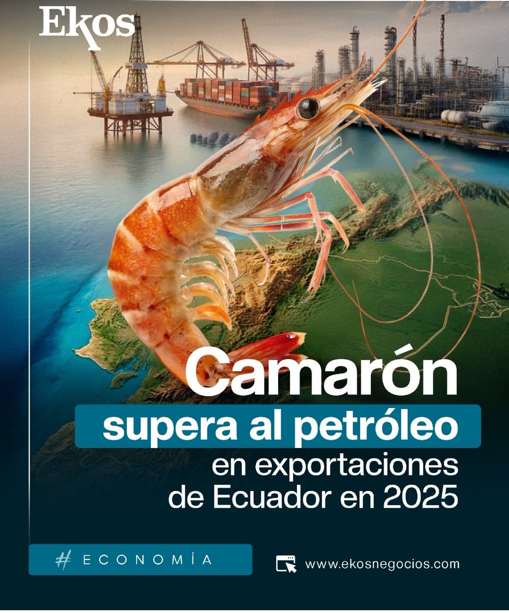 Voluntad Libre tweet media