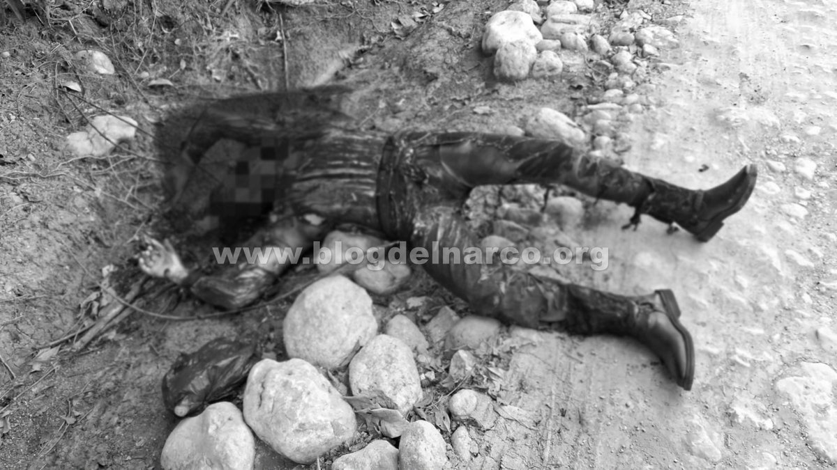 Blog del Narco México tweet media