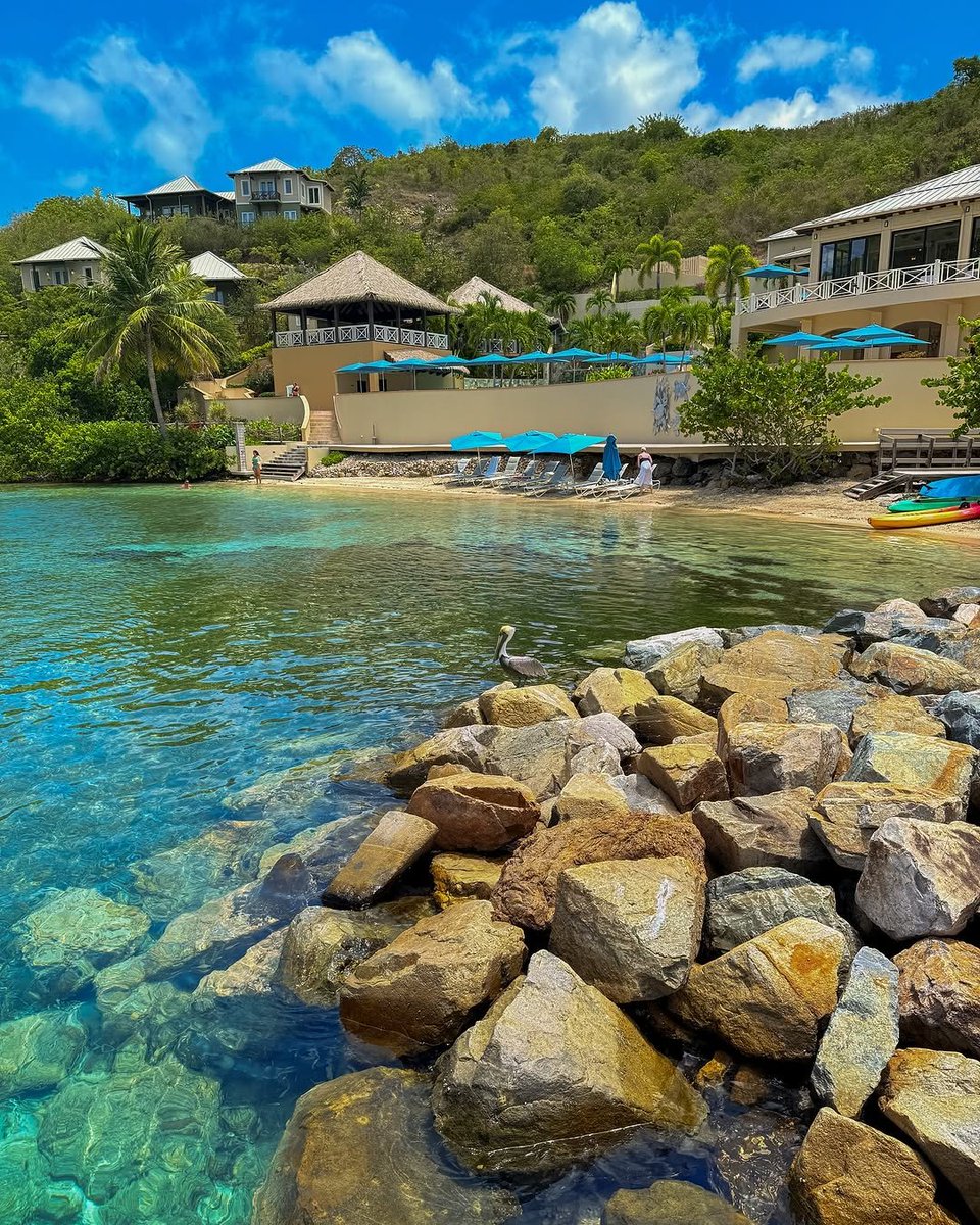 Scrub Island Resort tweet media