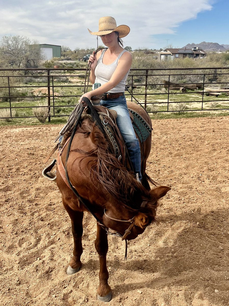 JLazySAngus's tweet image. Sometimes the best thing we can do is sit quietly and work through whatever it is, not restrict our natural response but also not allowing it to dominate us.
 In this case Seco is working through the rope being in weird places: stuck on his ear, his nose, his butt…

#ranchlife
