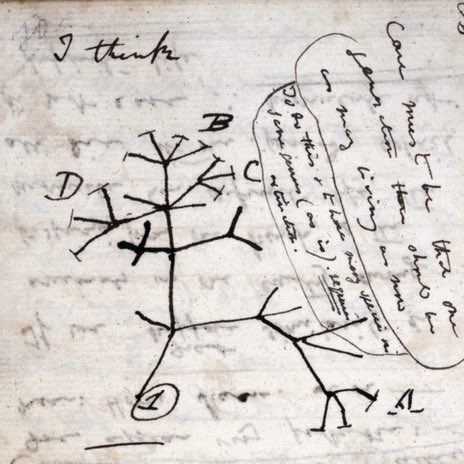 Happy birthday, Darwin!