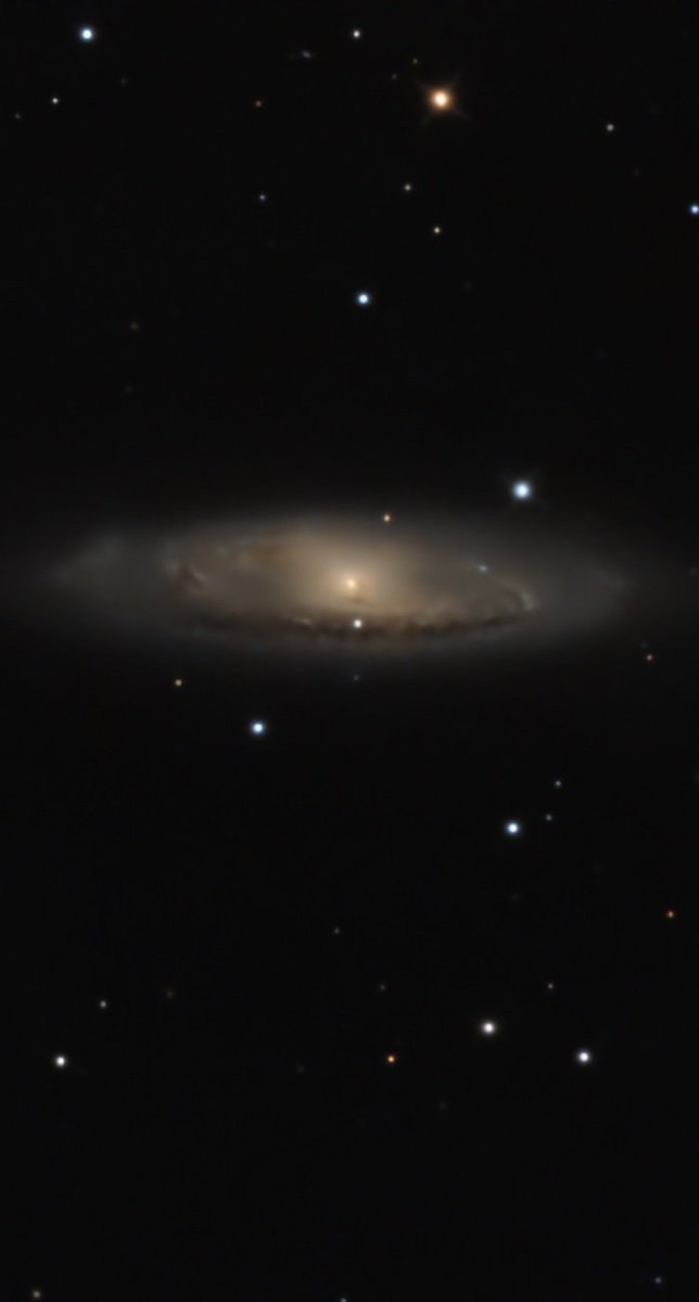 ISRAEL RAMIREZ tweet media